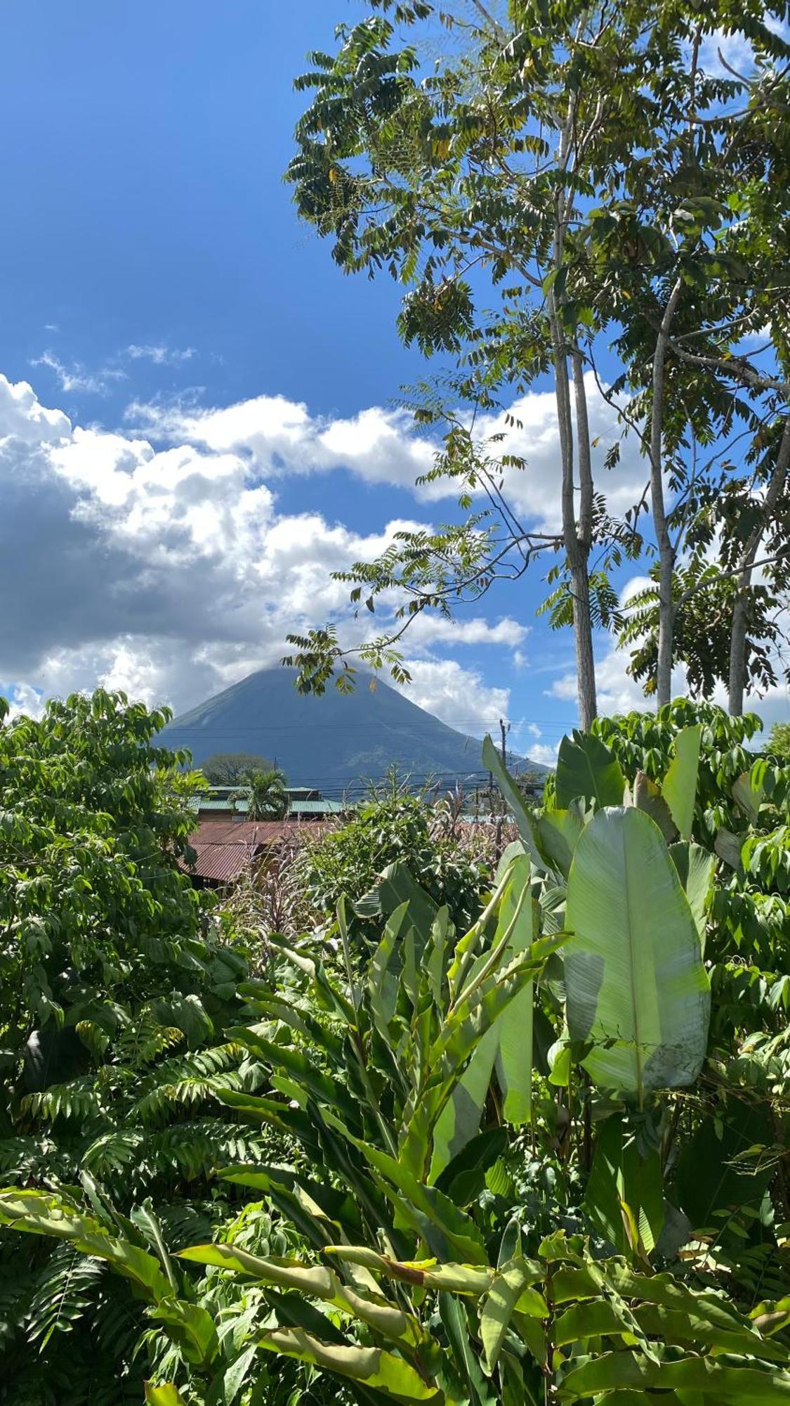 Oasis By Franklin Hotel Boutique La Fortuna Екстериор снимка